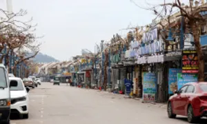 Doanh nghiệp thiệt hại do bão Yagi có thể được tạm dừng đóng BHXH Doanh nghiệp thiệt hại do bão Yagi có thể được tạm dừng đóng BHXH