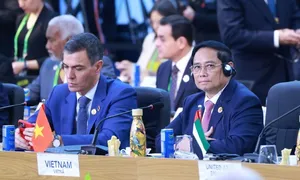 Thủ tướng nêu kinh nghiệm xóa đói giảm nghèo của Việt Nam trước G20 Thủ tướng nêu kinh nghiệm xóa đói giảm nghèo của Việt Nam trước G20