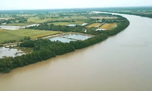 Tỉnh nào có huyện là một cù lao?