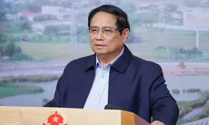 'Không lấy đấu thầu làm nơi trú ẩn cho quân xanh, quân đỏ'