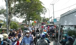 Du khách đổ về làng hoa, vườn quýt ở Đồng Tháp Du khách đổ về làng hoa, vườn quýt ở Đồng Tháp