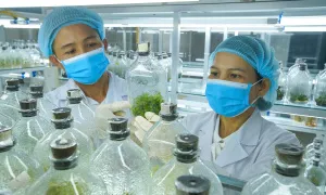 Chính phủ chấp nhận đầu tư mạo hiểm cho khoa học công nghệ Chính phủ chấp nhận đầu tư mạo hiểm cho khoa học công nghệ