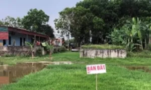 Về ngoại thành ở có dư hơn 20 năm bon chen trung tâm Sài Gòn Về ngoại thành ở có dư hơn 20 năm bon chen trung tâm Sài Gòn