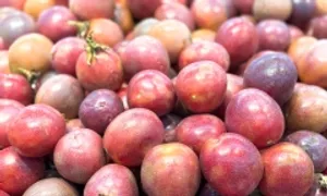 5 quả nên ăn để phòng ung thư 5 quả nên ăn để phòng ung thư